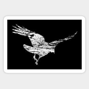 Flying Raven Distressed Wood Pattern Magnet